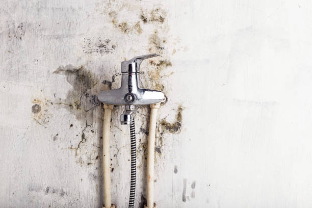 Best Mold Removal and Inspection  in Monument Beach, MA
