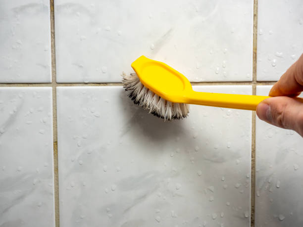 Best Mold Removal Process  in Monument Beach, MA