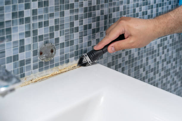 Best Fast Mold Removal  in Monument Beach, MA