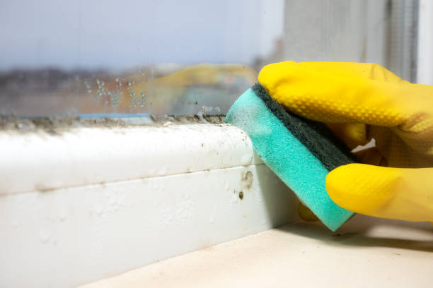 Best Mold Testing  in Monument Beach, MA