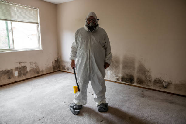 Best Commercial Mold Removal  in Monument Beach, MA